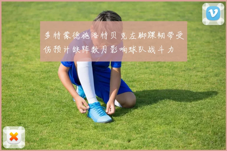 多特蒙德施洛特贝克左脚踝韧带受伤预计缺阵数月影响球队战斗力